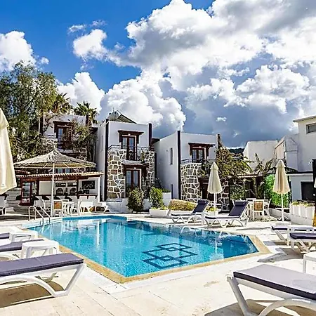 호텔 Bodrum Vera 검벳